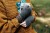 ksiazka-z-wzorami-trails-and-valleys-lindsey-fowler.jpg