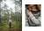 NorthWindKnits_Layout_Dreamcozy_10.jpg.webp