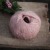 camarose-midnatssol-gammel-rosa.jpg