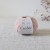 candide-eau-de-rose1.jpeg