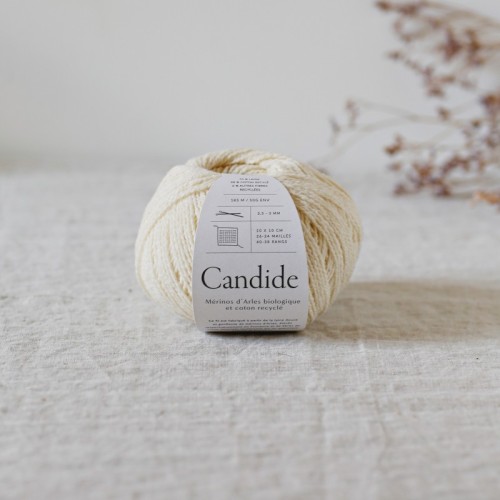 candide-soucre-glace1.jpeg