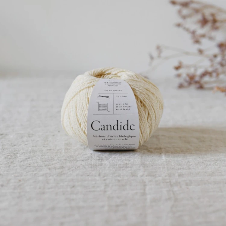 candide-soucre-glace1.jpeg