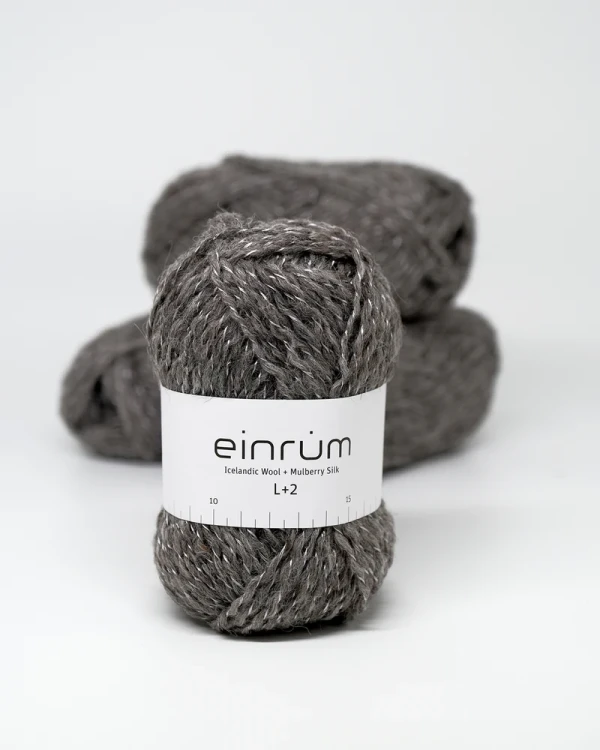 einrum-l2-2008.webp