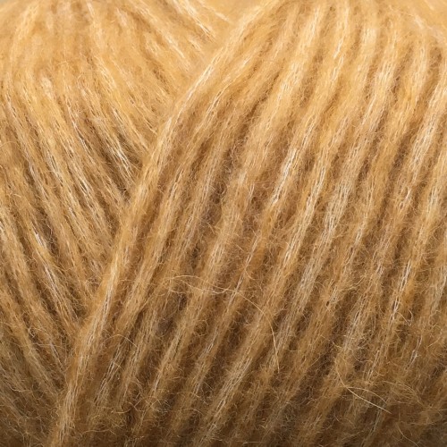 7384 GYLDEN SNEFNUG.jpg