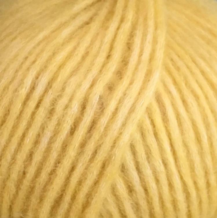 7862 CITRONGUL SNEFNUG.jpg