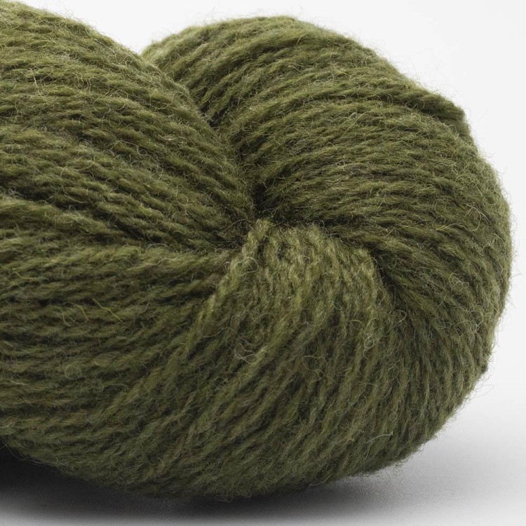 09 Olive.jpg