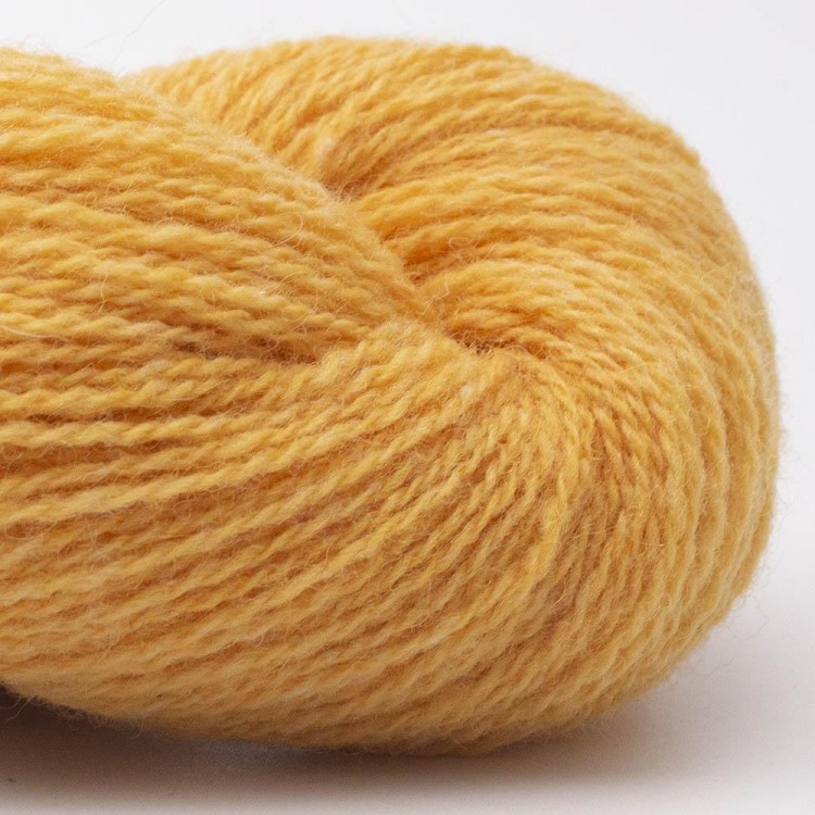 bio-shetland-słoneczny