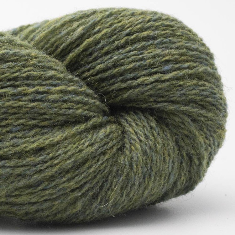 bio-shetland-zielona-łąka