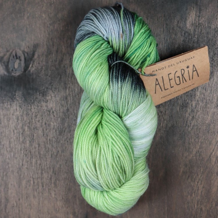 Manos del Uruguay ALEGRIA Botanico.jpg