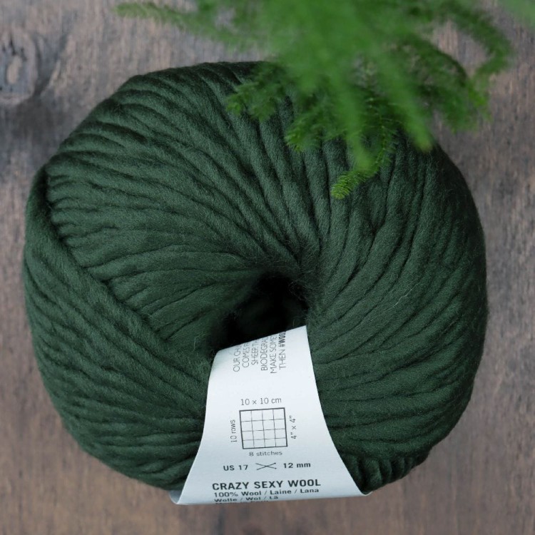 crazy-sexy-wool-zielona