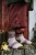 Laine_52_WeeksofSocks_Caitlin_Hunter.jpg