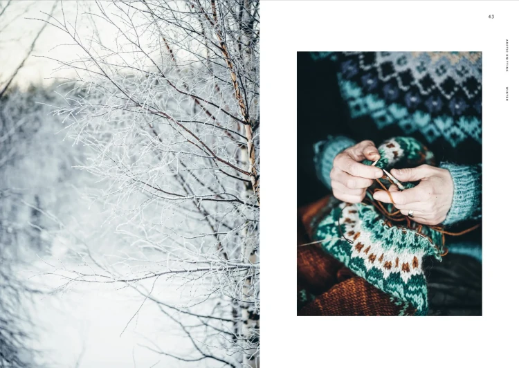 Arctic Knitting 5.webp