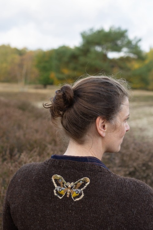embroidery-on-knits-moths-and-beetles.jpg