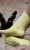 52 Weeks of Accessories Emilie Hallet.jpeg
