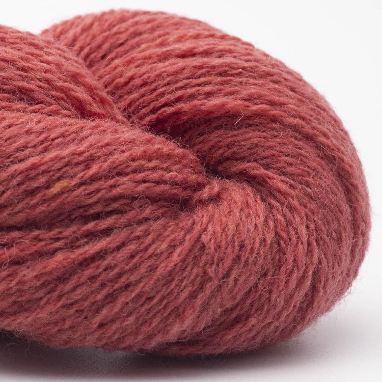 bio-shetland-zgaszona-malina