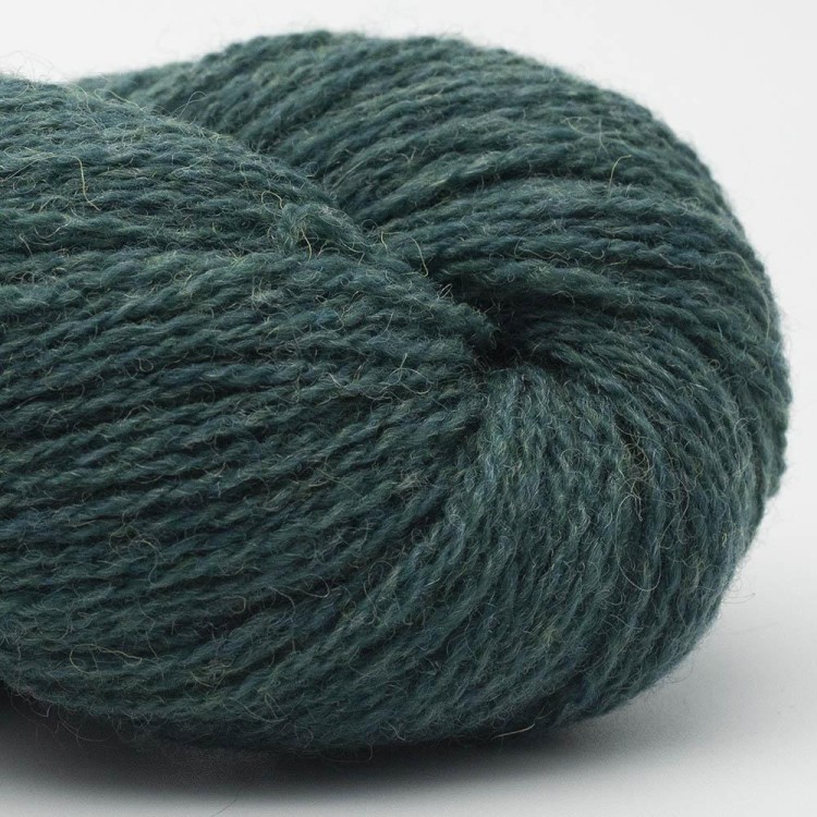 bio-shetland-ocean