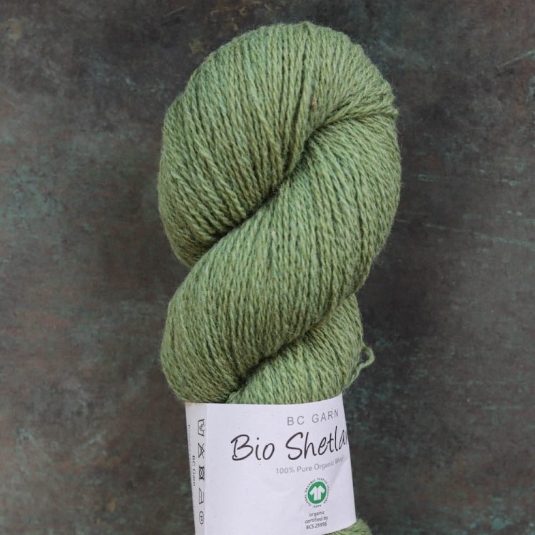 bc-garn-bio-shetland-wiosenna-zieleń