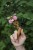 ksiazka-z-szydelkowaniem-tiny-friends-a-guide-to-mosaic-embroidery.jpg