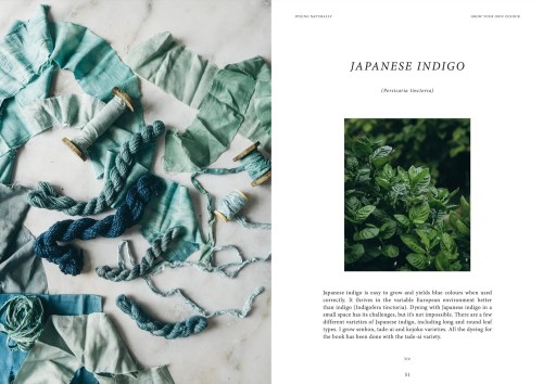 dyeing-naturally_1.jpg
