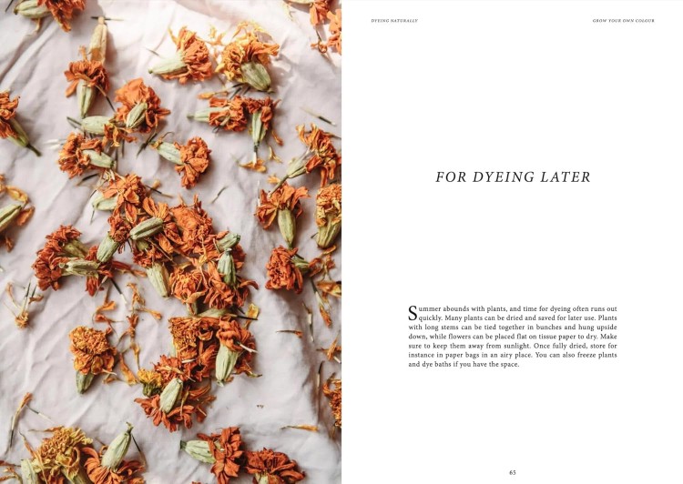 dyeing-naturally_2.jpg